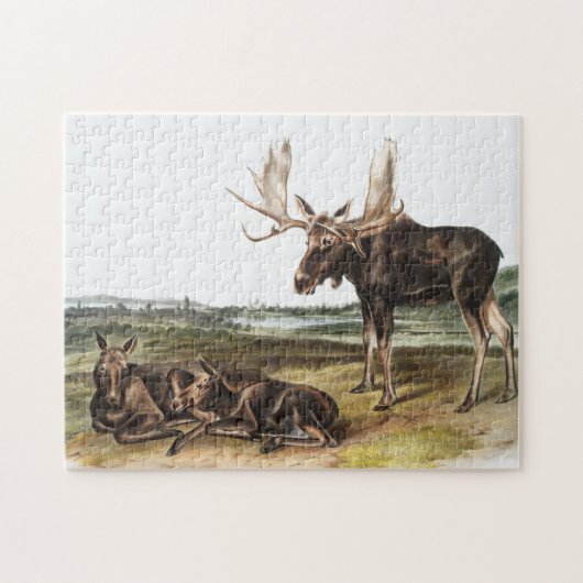 Illustratie Moose Deer (Servus alces) Legpuzzel (Horizontaal)