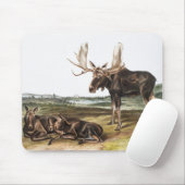 Illustratie Moose Deer (Servus alces) Muismat (Met muis)