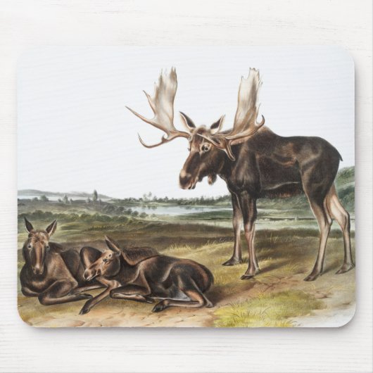Illustratie Moose Deer (Servus alces) Muismat (Voorkant)
