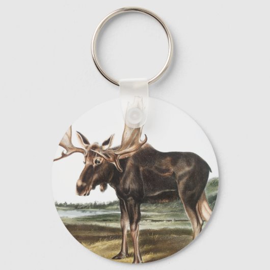 Illustratie Moose Deer (Servus alces) Sleutelhanger (Voorkant)