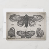 Illustratie  moth Lepidoptera (57) Kaart (Voorkant)