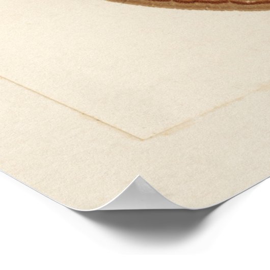 Illustratie  moth poster (Hoek)