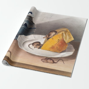 Illustratie muis (muizen-musculus) cadeaupapier