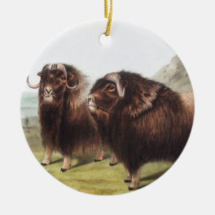 Illustratie Musk Ox (Ovibos moschatus) Keramisch Ornament