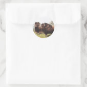 Illustratie Musk Ox (Ovibos moschatus) Ronde Sticker (Tas)