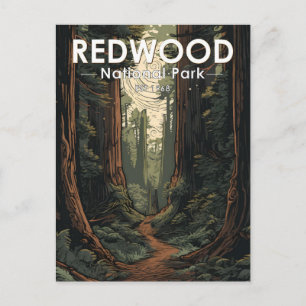 Illustratie nationaal park Redwood  Briefkaart