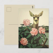  illustratie Noordwesten van de Stille Oceaan Briefkaart (Voorkant / Achterkant)