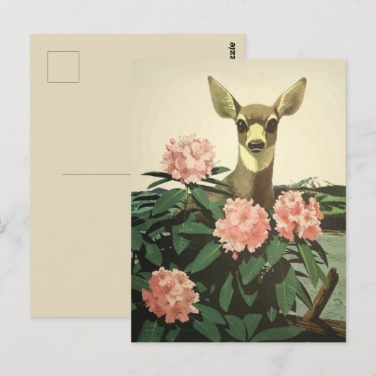  illustratie Noordwesten van de Stille Oceaan Briefkaart (Voorkant / Achterkant)