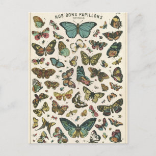 Illustratie nos bons papillons briefkaart