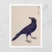  illustratie: Oerwoud kraai Briefkaart (Voorkant)