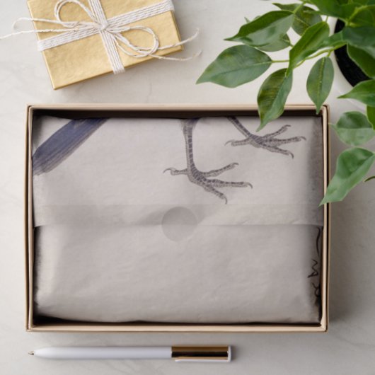  illustratie: Oerwoud kraai Tissuepapier (Geschenk)