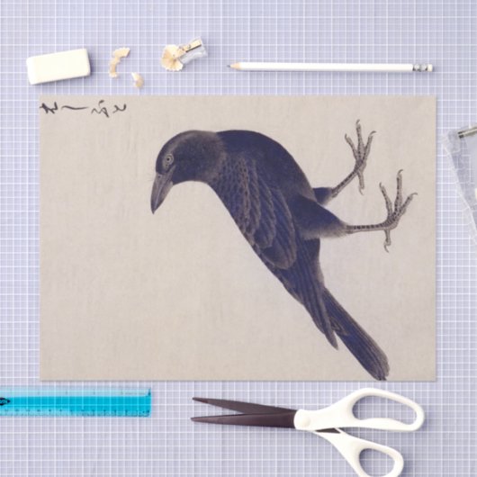  illustratie: Oerwoud kraai Tissuepapier (Craft)