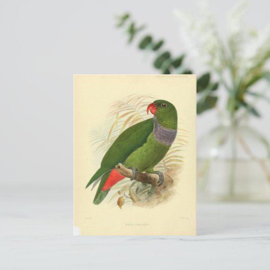 Illustratie Oiseau Briefkaart (Staand voorkant)