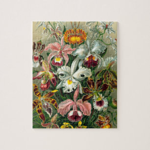 Illustratie  orchidee-Floral schilderen Legpuzzel
