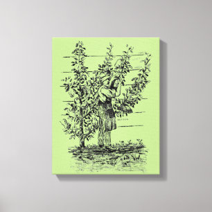  Illustratie Oude gardeneraangepast Canvas Afdruk