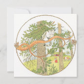  illustratie Oude vrouw Elsa Beskow (Voorkant)