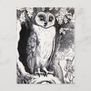 illustratie "Owl" Briefkaart