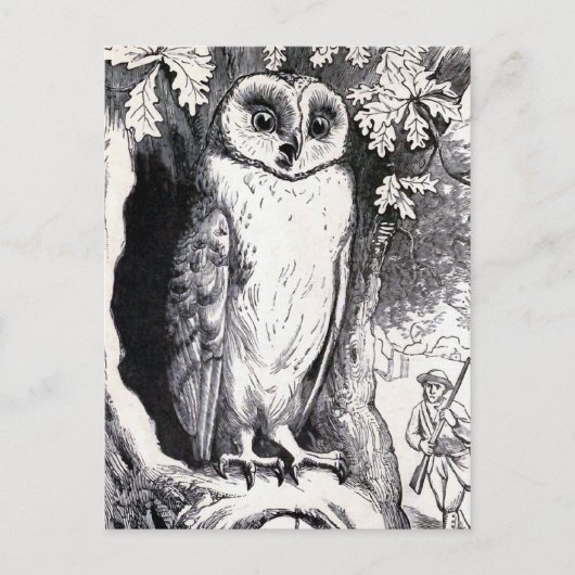  illustratie "Owl" Briefkaart (Voorkant)