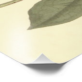 Illustratie Paarse Rhododendron Foto Afdruk (Hoek)