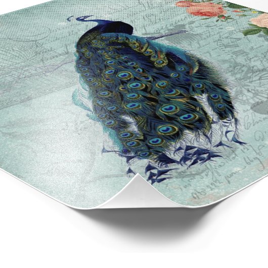 Illustratie  pacock en Rozen Foto Afdruk (Hoek)