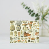 Illustratie paddenstoel Wetenschap -  Bontanisch Briefkaart (Staand voorkant)