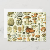 Illustratie paddenstoel Wetenschap -  Bontanisch Briefkaart (Voorkant / Achterkant)