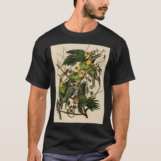 Illustratie papegaai t-shirt (Voorkant)