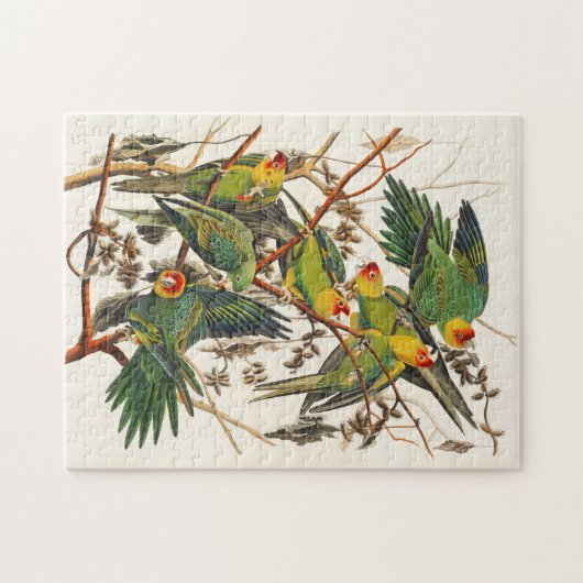 Illustratie  parrots Bird Lover Gift Legpuzzel (Horizontaal)