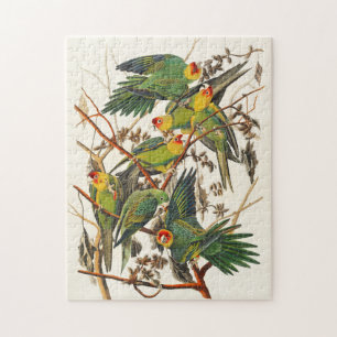 Illustratie parrots Bird Lover Gift Legpuzzel