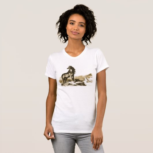 Illustratie Pony van Chincoteague T-shirt (Voorkant volledig)