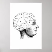 Illustratie Poster hoofdanatomie
