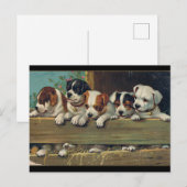 Illustratie  Puppies, Hunde-Welpen Briefkaart (Voorkant / Achterkant)