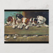 Illustratie  Puppies, Hunde-Welpen Briefkaart (Voorkant)