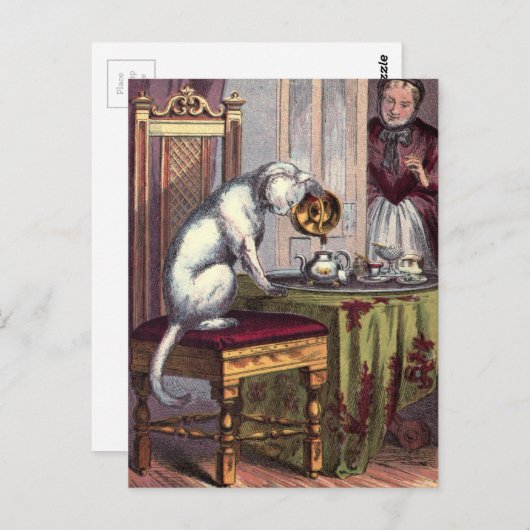  illustratie: Puss Making tea Briefkaart (Voorkant / Achterkant)