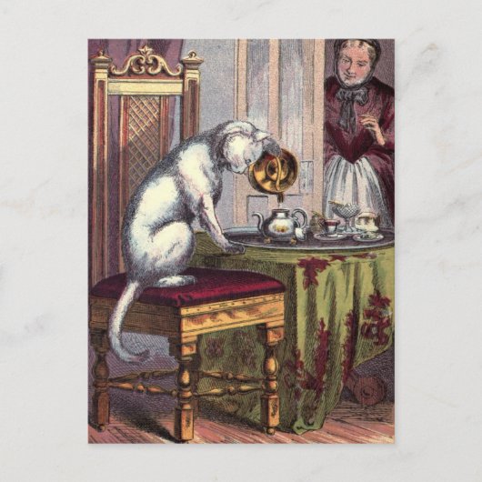  illustratie: Puss Making tea Briefkaart (Voorkant)