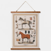  illustratie Race Horse Equestrian
