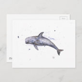 Illustratie Risso Dolphin Briefkaart (Voorkant / Achterkant)