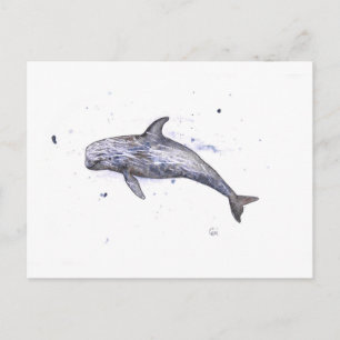 Illustratie Risso Dolphin Briefkaart