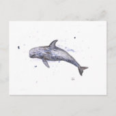 Illustratie Risso Dolphin Briefkaart (Voorkant)