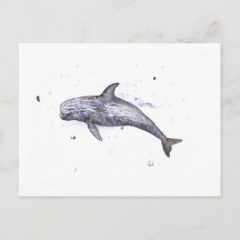Illustratie Risso Dolphin Briefkaart