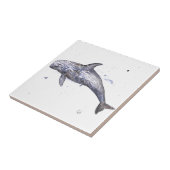 Illustratie Risso Dolphin Tegeltje (Zijkant)