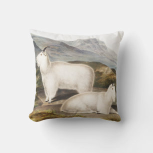 Illustratie Rocky Mountain Goat (Capra Americana) Kussen