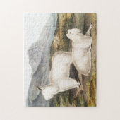 Illustratie Rocky Mountain Goat (Capra Americana) Legpuzzel (Verticaal)