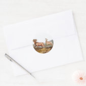 Illustratie Rocky Mountain Sheep (Ovis montana) Ronde Sticker (Envelop)