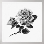  illustratie Roos Poster (Voorkant)