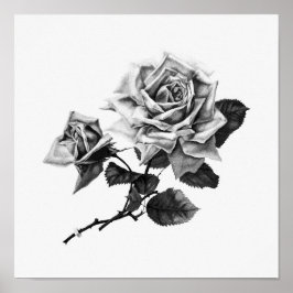  illustratie Roos Poster