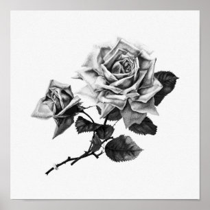  illustratie Roos Poster