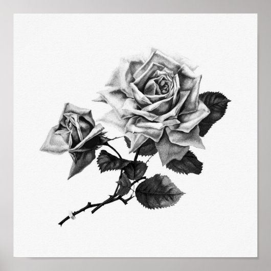  illustratie Roos Poster (Voorkant)