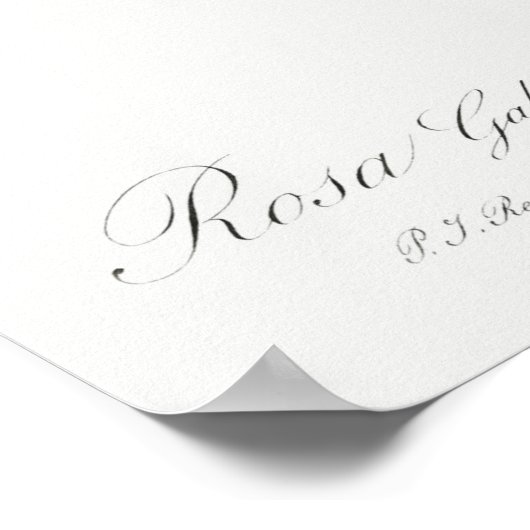  illustratie Roos Poster (Hoek)