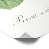 illustratie Roos Poster (Hoek)